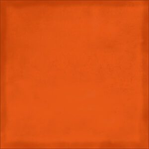 Juicy Orange Ceramic Tile