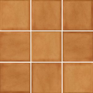 Seasons by Pavigres